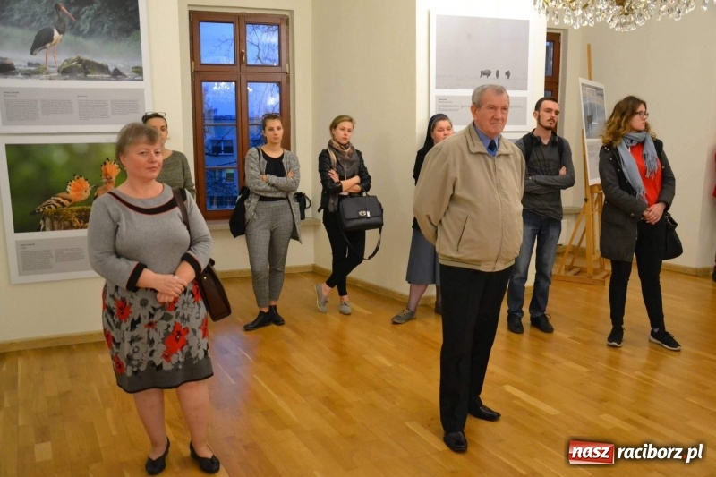 Zdjęcie w galerii na portalu naszraciborz.pl: Żywy album przyrody. Górna Odra może zachwycić  wiadomości z regionu