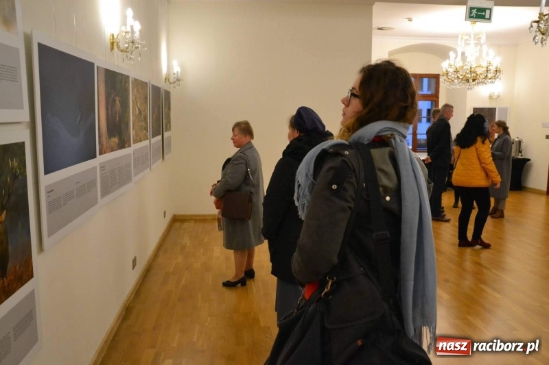 Zdjęcie w galerii na portalu naszraciborz.pl: Żywy album przyrody. Górna Odra może zachwycić  wiadomości z regionu