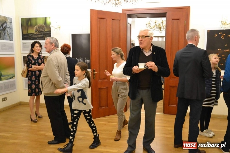 Zdjęcie w galerii na portalu naszraciborz.pl: Żywy album przyrody. Górna Odra może zachwycić  wiadomości z regionu