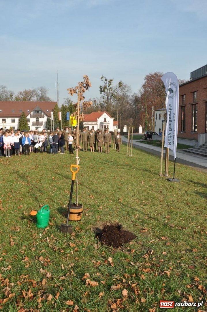 Zdjęcie w galerii na portalu naszraciborz.pl: W Rudach posadzili Dąb Niepodległości wiadomości z regionu