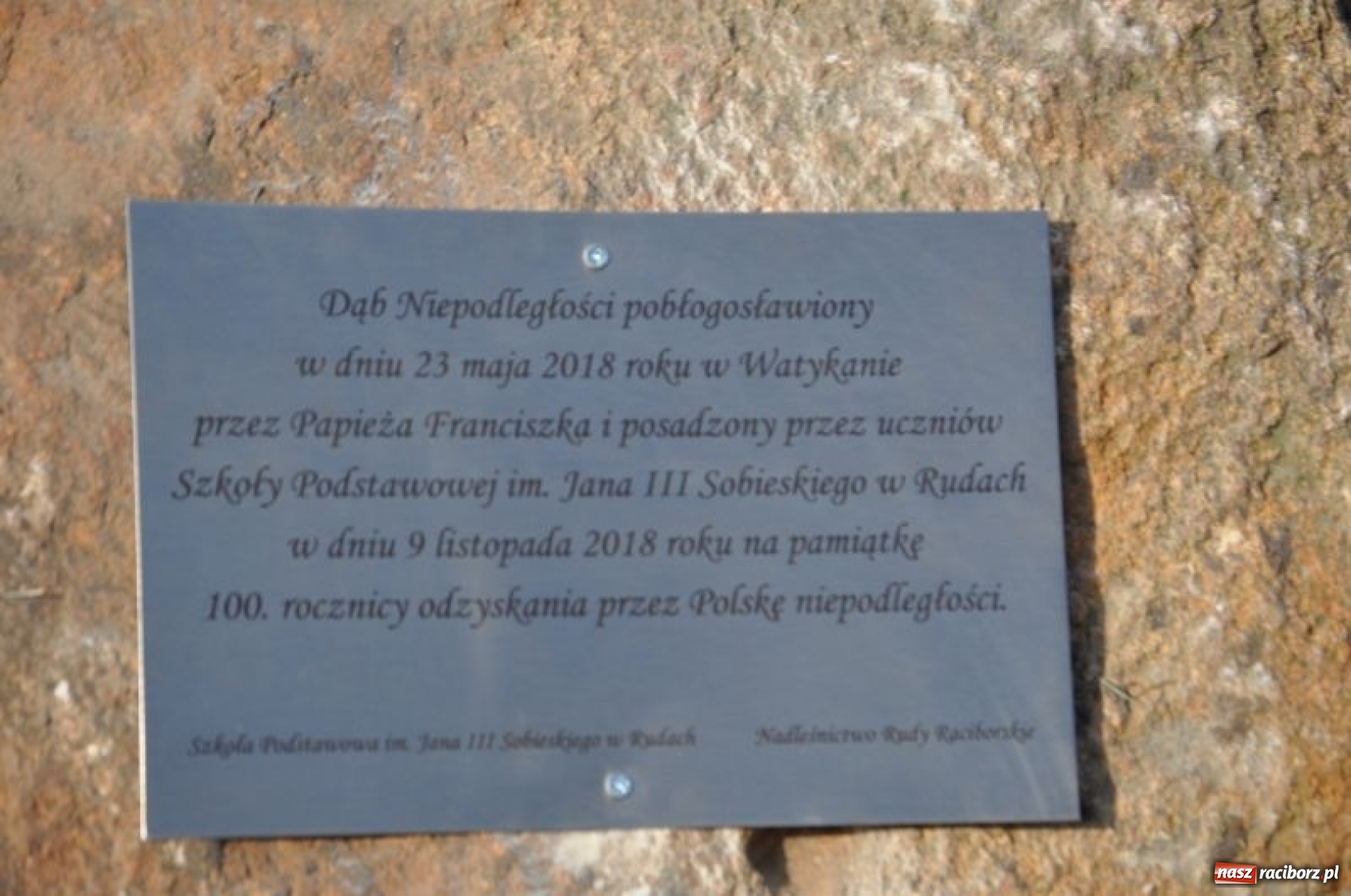 Zdjęcie w galerii na portalu naszraciborz.pl: W Rudach posadzili Dąb Niepodległości wiadomości z regionu