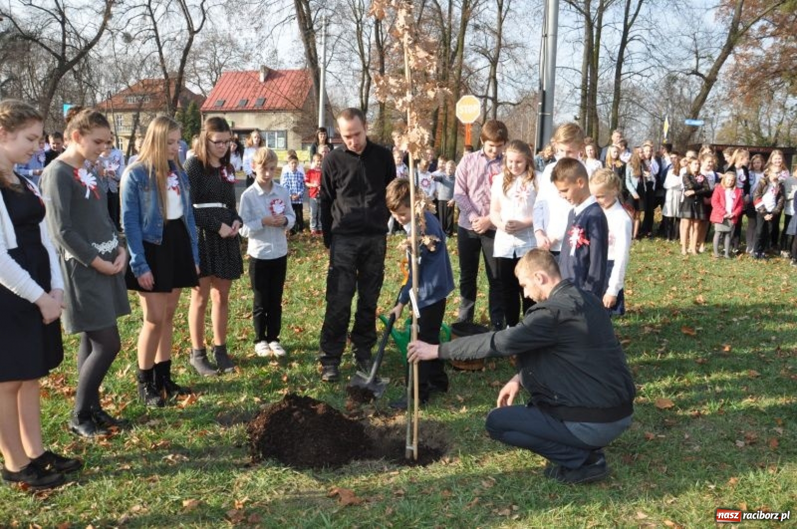 Zdjęcie w galerii na portalu naszraciborz.pl: W Rudach posadzili Dąb Niepodległości wiadomości z regionu
