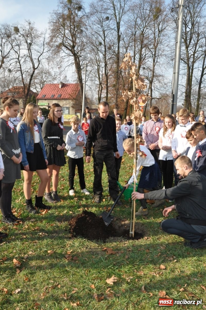 Zdjęcie w galerii na portalu naszraciborz.pl: W Rudach posadzili Dąb Niepodległości wiadomości z regionu