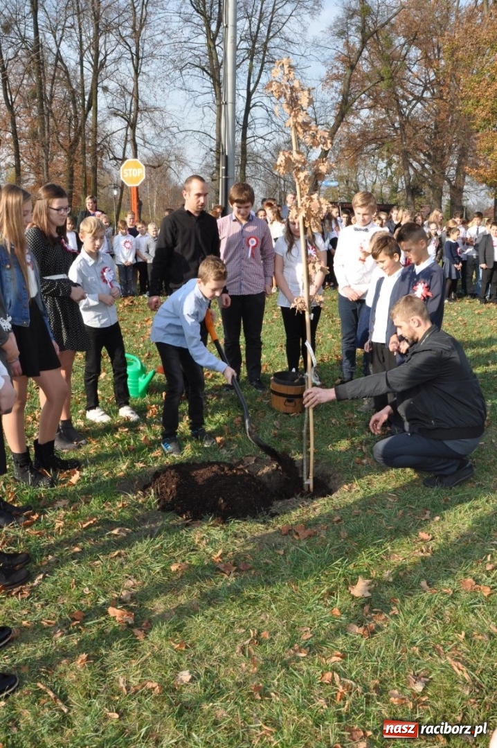 Zdjęcie w galerii na portalu naszraciborz.pl: W Rudach posadzili Dąb Niepodległości wiadomości z regionu