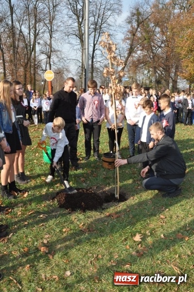 Zdjęcie w galerii na portalu naszraciborz.pl: W Rudach posadzili Dąb Niepodległości wiadomości z regionu