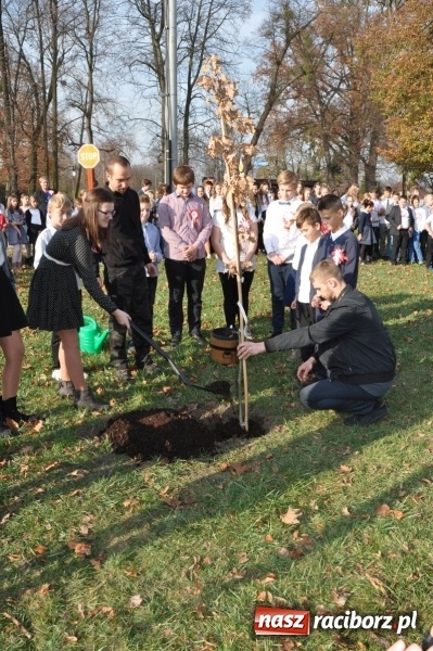 Zdjęcie w galerii na portalu naszraciborz.pl: W Rudach posadzili Dąb Niepodległości wiadomości z regionu