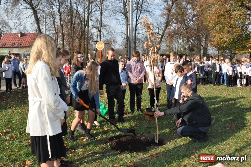 Zdjęcie w galerii na portalu naszraciborz.pl: W Rudach posadzili Dąb Niepodległości wiadomości z regionu