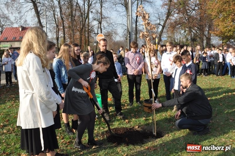 Zdjęcie w galerii na portalu naszraciborz.pl: W Rudach posadzili Dąb Niepodległości wiadomości z regionu