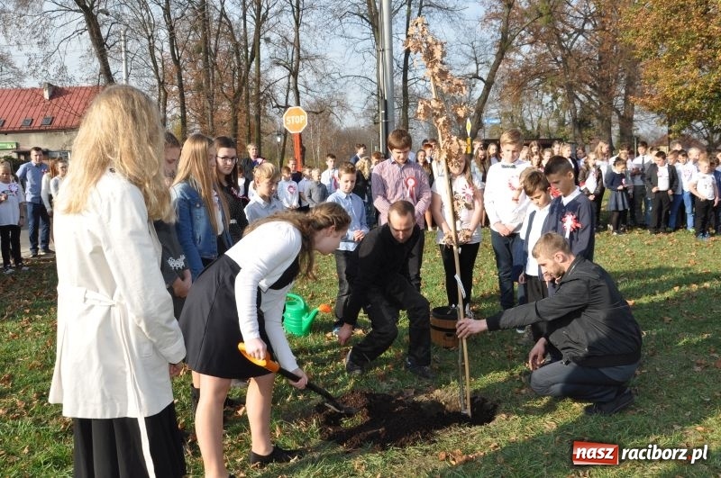 Zdjęcie w galerii na portalu naszraciborz.pl: W Rudach posadzili Dąb Niepodległości wiadomości z regionu