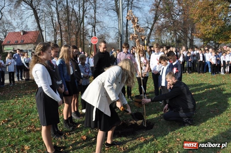Zdjęcie w galerii na portalu naszraciborz.pl: W Rudach posadzili Dąb Niepodległości wiadomości z regionu