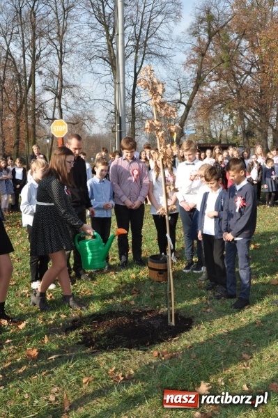Zdjęcie w galerii na portalu naszraciborz.pl: W Rudach posadzili Dąb Niepodległości wiadomości z regionu