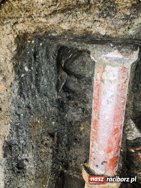 Zdjęcie w galerii na portalu naszraciborz.pl: Ulica Długa odkrywa swoje tajemnice  wiadomości z regionu