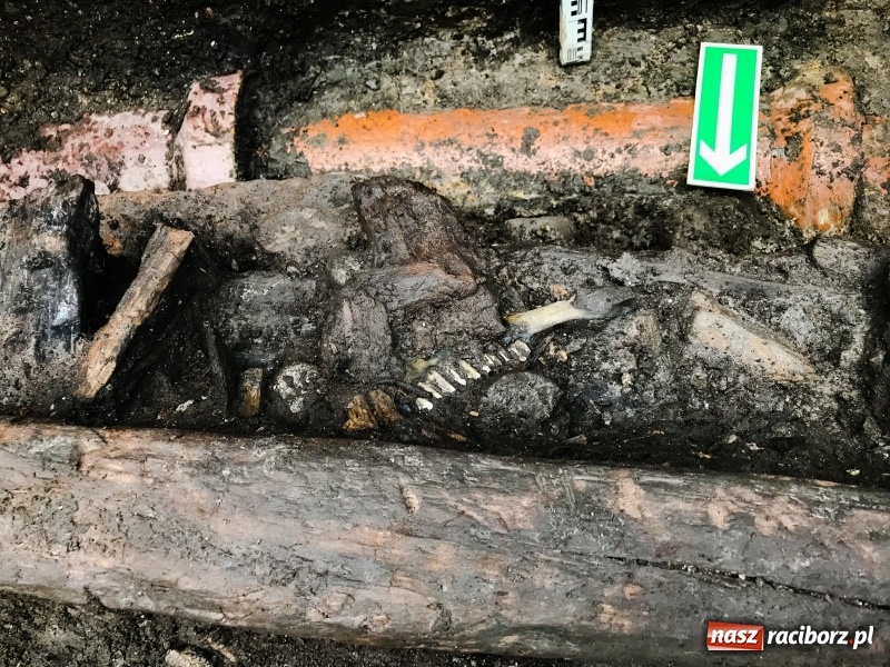 Zdjęcie w galerii na portalu naszraciborz.pl: Ulica Długa odkrywa swoje tajemnice  wiadomości z regionu