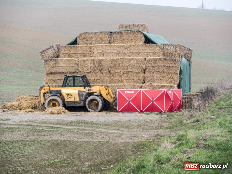 Zdjęcie w galerii na portalu naszraciborz.pl: Tragedia w Modzurowie. Nie żyje 55-letni robotnik rolny wiadomości z regionu