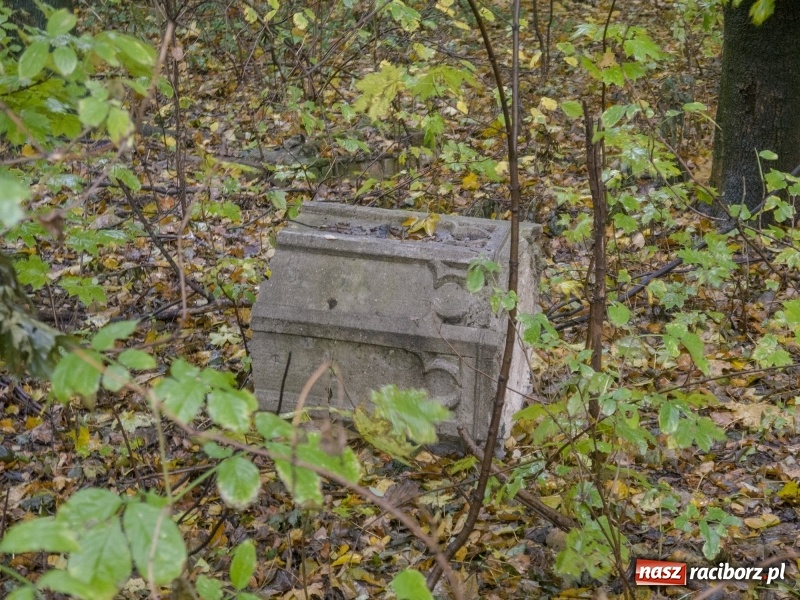 Zdjęcie w galerii na portalu naszraciborz.pl: Utracone pałace ziemi raciborskiej – Sławików  wiadomości z regionu