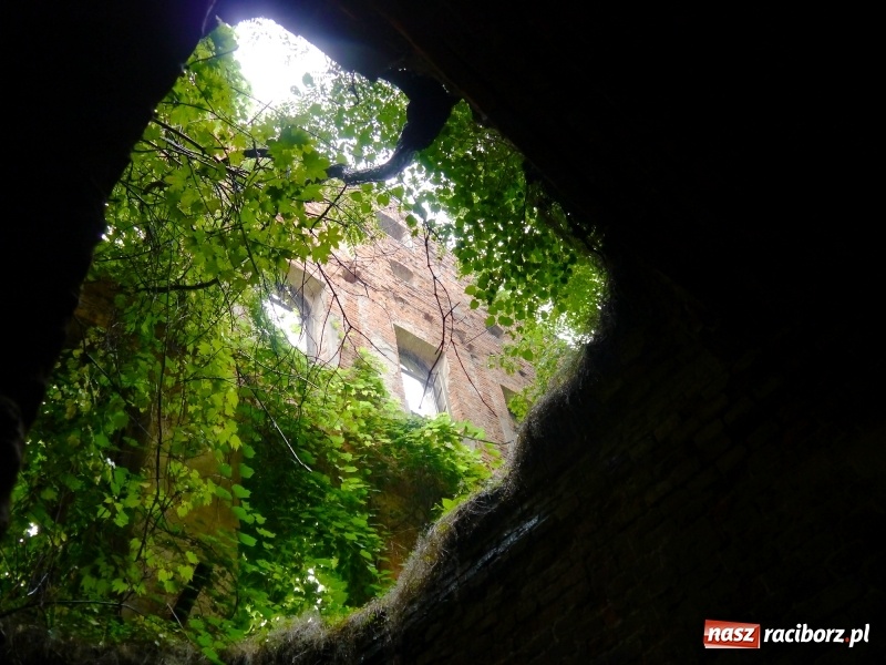 Zdjęcie w galerii na portalu naszraciborz.pl: Utracone pałace ziemi raciborskiej – Sławików  wiadomości z regionu