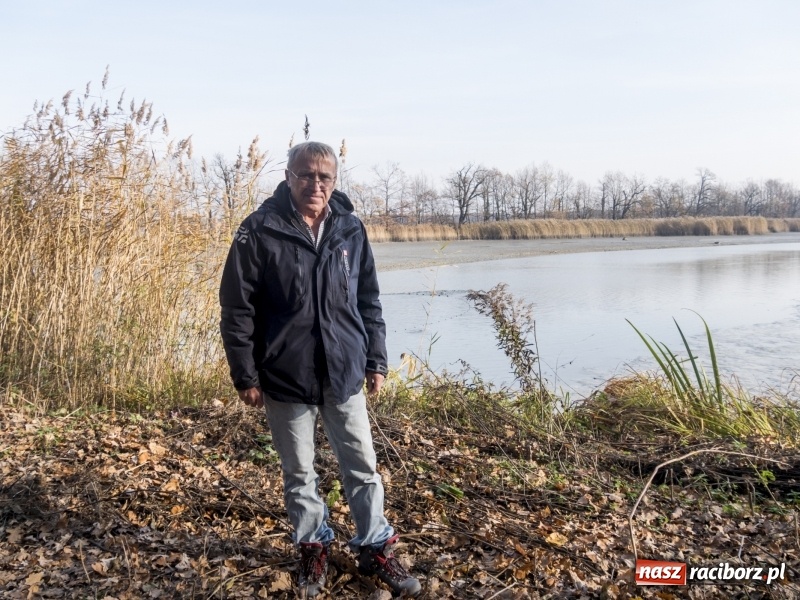 Zdjęcie w galerii na portalu naszraciborz.pl: Ruszyły odłowy ryb na Łężczoku. Za ile kupimy świątecznego karpia?  wiadomości z regionu