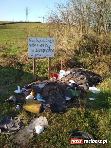 Zdjęcie w galerii na portalu naszraciborz.pl: Z redakcyjnej poczty. Niecodzienny komentarz dla brudasa  wiadomości z regionu