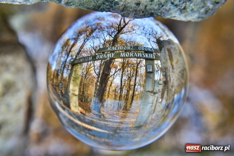 Zdjęcie w galerii na portalu naszraciborz.pl: W Raciborzu możesz poczuć się jak w górach [FOTO] wiadomości z regionu