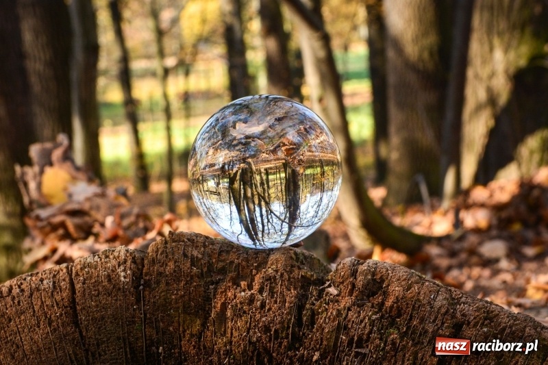 Zdjęcie w galerii na portalu naszraciborz.pl: W Raciborzu możesz poczuć się jak w górach [FOTO] wiadomości z regionu