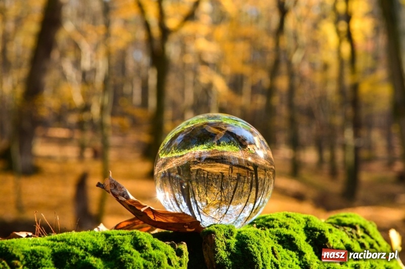 Zdjęcie w galerii na portalu naszraciborz.pl: W Raciborzu możesz poczuć się jak w górach [FOTO] wiadomości z regionu