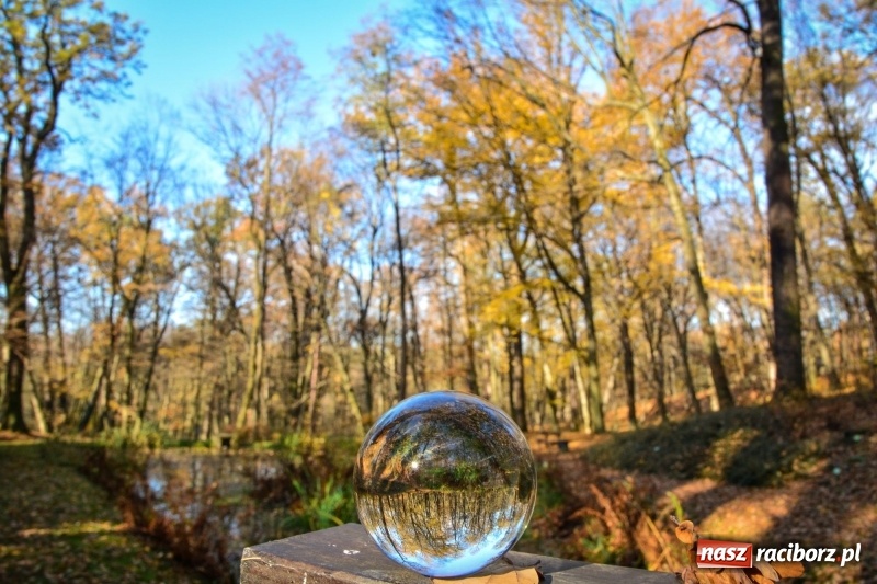 Zdjęcie w galerii na portalu naszraciborz.pl: W Raciborzu możesz poczuć się jak w górach [FOTO] wiadomości z regionu