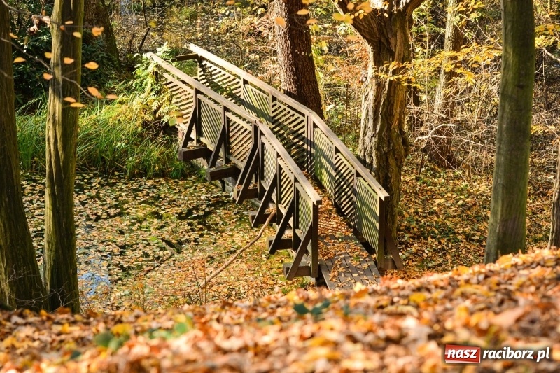 Zdjęcie w galerii na portalu naszraciborz.pl: W Raciborzu możesz poczuć się jak w górach [FOTO] wiadomości z regionu