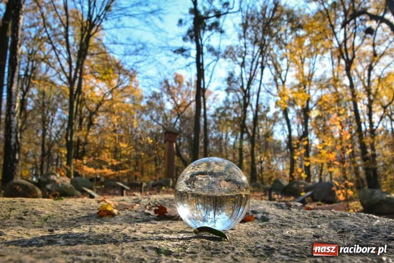 Zdjęcie w galerii na portalu naszraciborz.pl: W Raciborzu możesz poczuć się jak w górach [FOTO] wiadomości z regionu