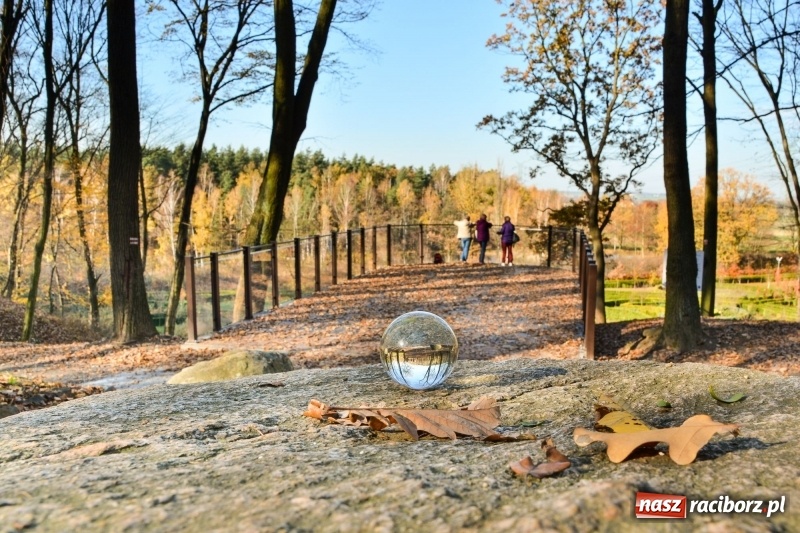 Zdjęcie w galerii na portalu naszraciborz.pl: W Raciborzu możesz poczuć się jak w górach [FOTO] wiadomości z regionu