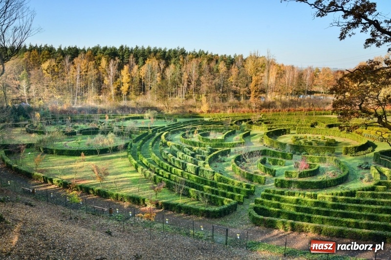 Zdjęcie w galerii na portalu naszraciborz.pl: W Raciborzu możesz poczuć się jak w górach [FOTO] wiadomości z regionu