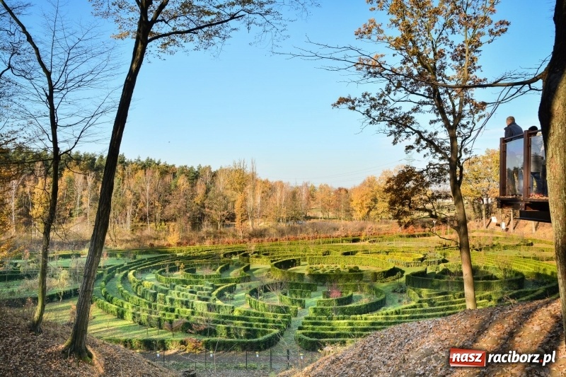 Zdjęcie w galerii na portalu naszraciborz.pl: W Raciborzu możesz poczuć się jak w górach [FOTO] wiadomości z regionu