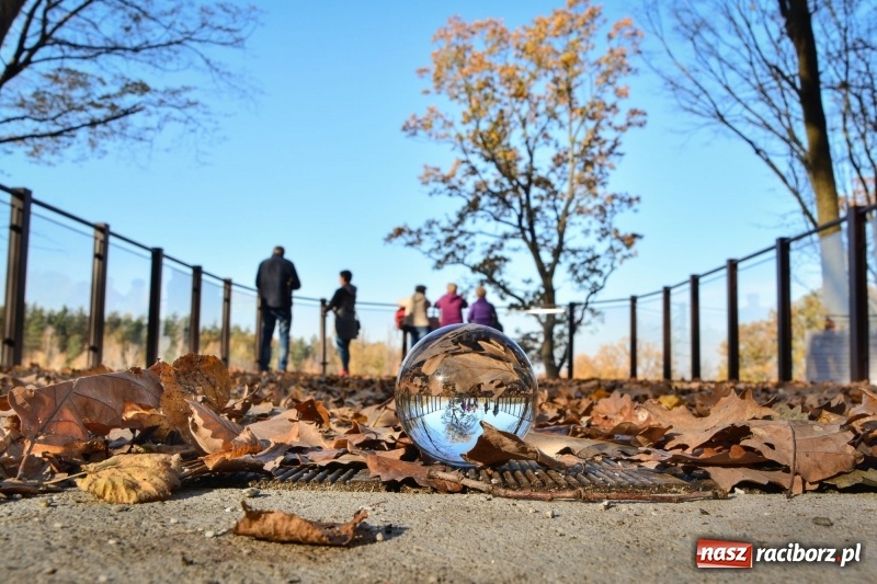 Zdjęcie w galerii na portalu naszraciborz.pl: W Raciborzu możesz poczuć się jak w górach [FOTO] wiadomości z regionu