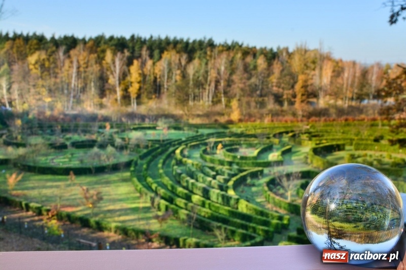 Zdjęcie w galerii na portalu naszraciborz.pl: W Raciborzu możesz poczuć się jak w górach [FOTO] wiadomości z regionu