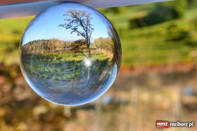 Zdjęcie w galerii na portalu naszraciborz.pl: W Raciborzu możesz poczuć się jak w górach [FOTO] wiadomości z regionu
