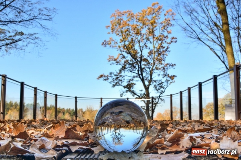 Zdjęcie w galerii na portalu naszraciborz.pl: W Raciborzu możesz poczuć się jak w górach [FOTO] wiadomości z regionu