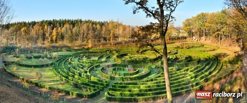 Zdjęcie w galerii na portalu naszraciborz.pl: W Raciborzu możesz poczuć się jak w górach [FOTO] wiadomości z regionu