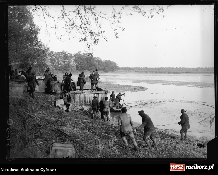 Zdjęcie w galerii na portalu naszraciborz.pl: Odłów ryb i polowania na Łężczoku sto lat temu  wiadomości z regionu