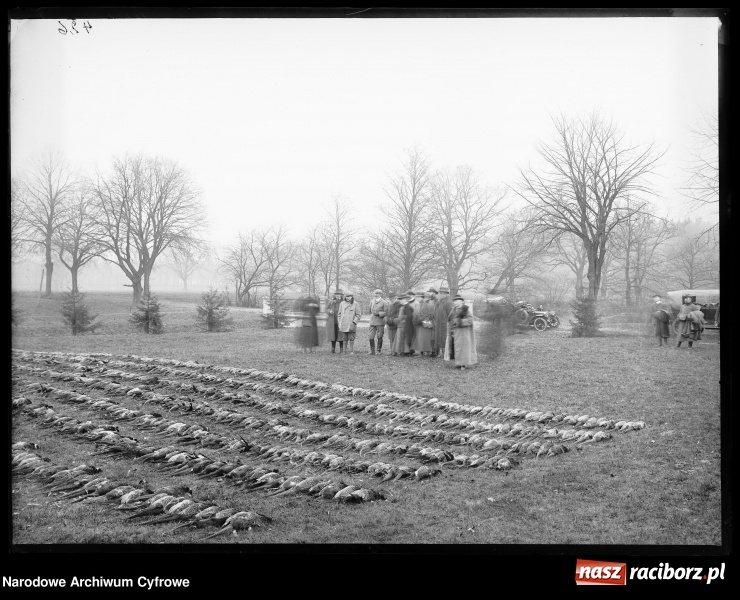 Zdjęcie w galerii na portalu naszraciborz.pl: Odłów ryb i polowania na Łężczoku sto lat temu  wiadomości z regionu