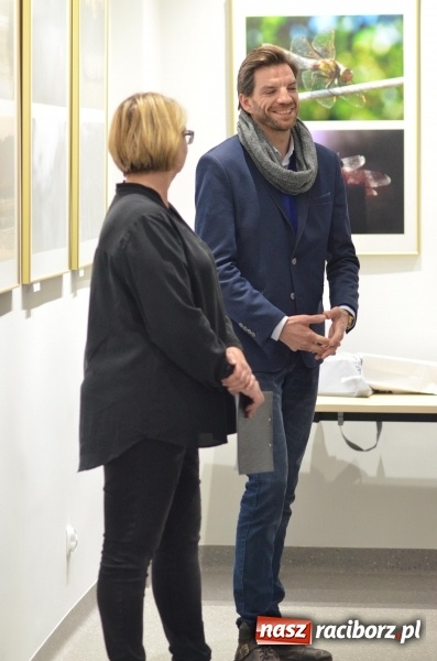 Zdjęcie w galerii na portalu naszraciborz.pl: Ciekawe okazy przyrodnicze Raciborza i powiatu. Rozstrzygnięcie konkursu fotograficznego w MiPBP wiadomości z regionu