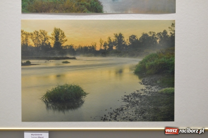 Zdjęcie w galerii na portalu naszraciborz.pl: Ciekawe okazy przyrodnicze Raciborza i powiatu. Rozstrzygnięcie konkursu fotograficznego w MiPBP wiadomości z regionu