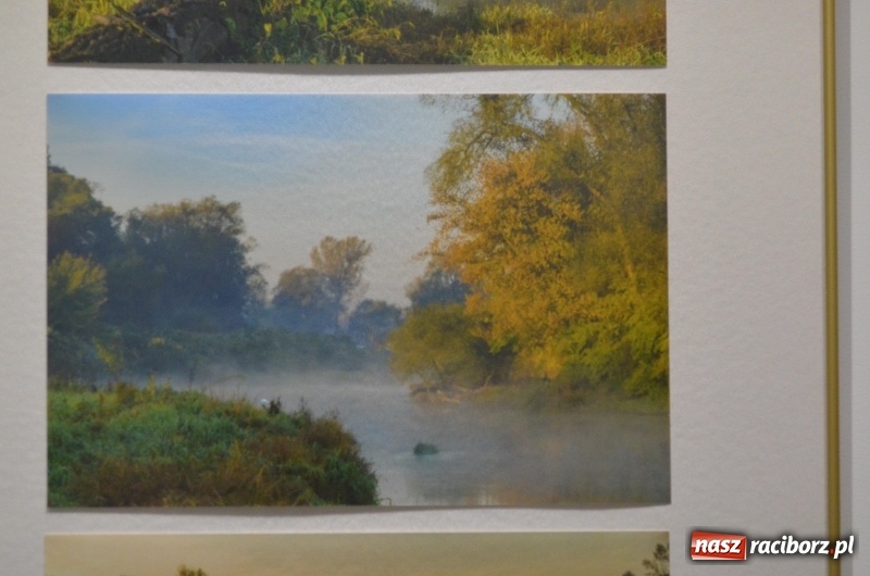 Zdjęcie w galerii na portalu naszraciborz.pl: Ciekawe okazy przyrodnicze Raciborza i powiatu. Rozstrzygnięcie konkursu fotograficznego w MiPBP wiadomości z regionu