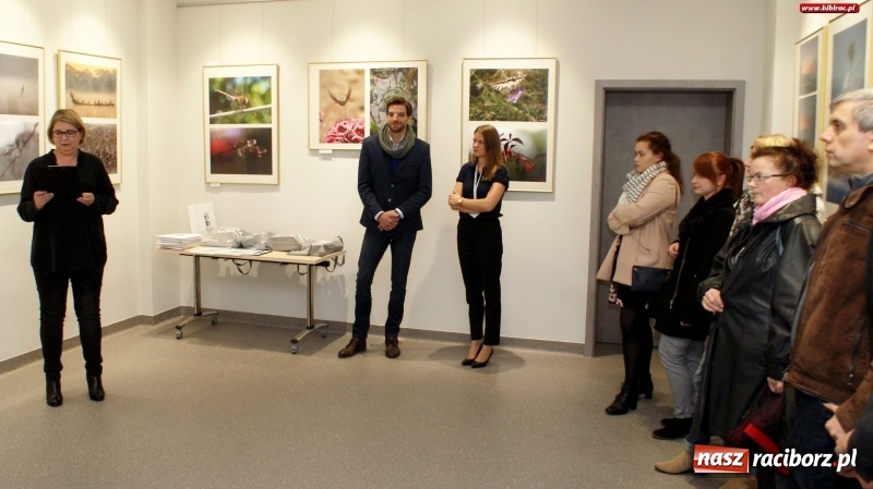 Zdjęcie w galerii na portalu naszraciborz.pl: Ciekawe okazy przyrodnicze Raciborza i powiatu. Rozstrzygnięcie konkursu fotograficznego w MiPBP wiadomości z regionu