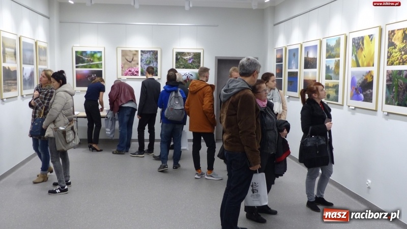 Zdjęcie w galerii na portalu naszraciborz.pl: Ciekawe okazy przyrodnicze Raciborza i powiatu. Rozstrzygnięcie konkursu fotograficznego w MiPBP wiadomości z regionu