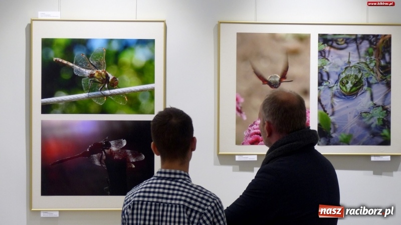 Zdjęcie w galerii na portalu naszraciborz.pl: Ciekawe okazy przyrodnicze Raciborza i powiatu. Rozstrzygnięcie konkursu fotograficznego w MiPBP wiadomości z regionu