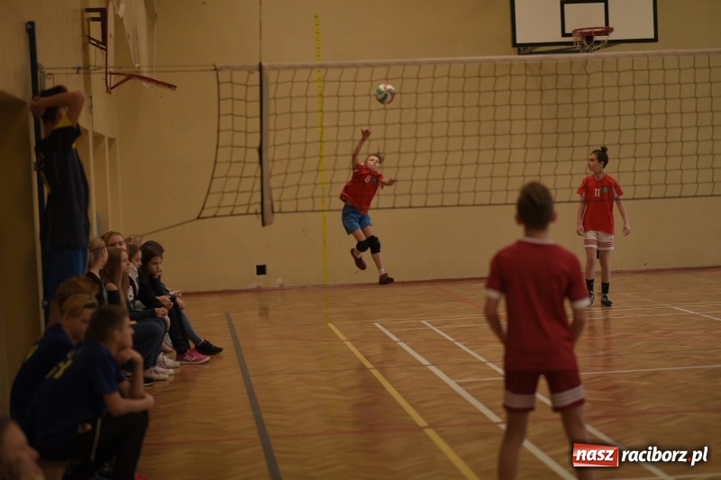 Zdjęcie w galerii na portalu naszraciborz.pl: Mistrzostwa Raciborza w dwójkach siatkarskich chłopców w SP18 wiadomości z regionu