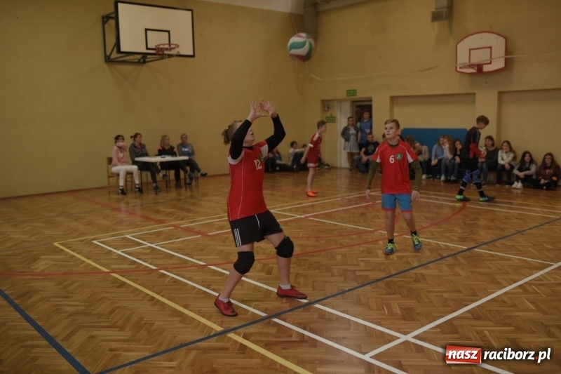 Zdjęcie w galerii na portalu naszraciborz.pl: Mistrzostwa Raciborza w dwójkach siatkarskich chłopców w SP18 wiadomości z regionu