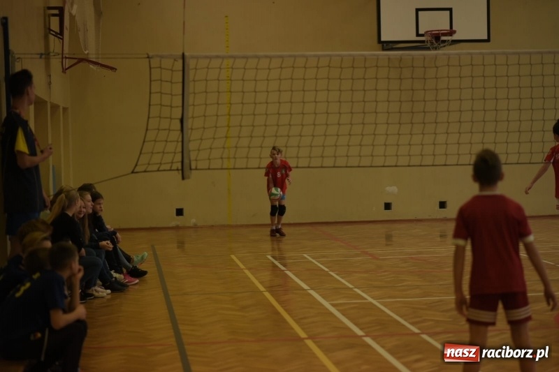 Zdjęcie w galerii na portalu naszraciborz.pl: Mistrzostwa Raciborza w dwójkach siatkarskich chłopców w SP18 wiadomości z regionu