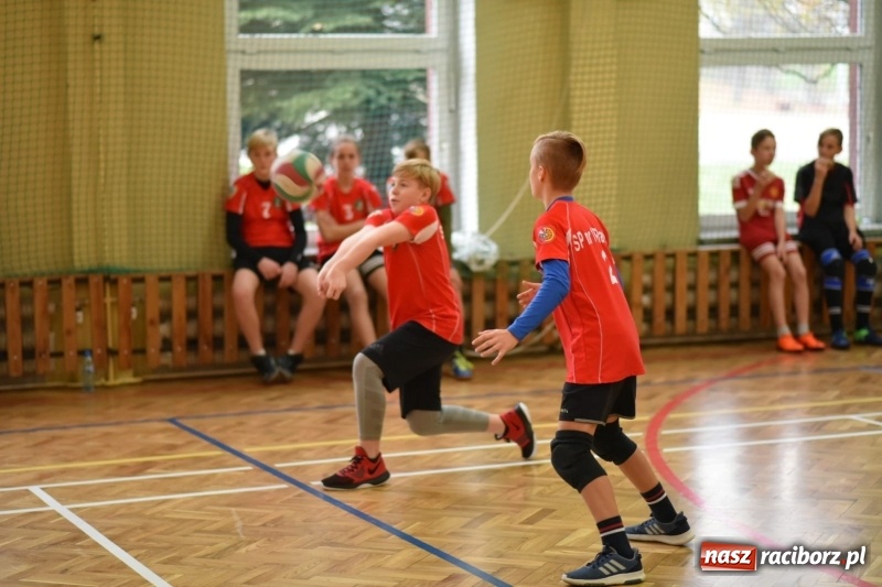 Zdjęcie w galerii na portalu naszraciborz.pl: Mistrzostwa Raciborza w dwójkach siatkarskich chłopców w SP18 wiadomości z regionu