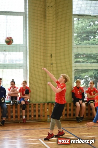 Zdjęcie w galerii na portalu naszraciborz.pl: Mistrzostwa Raciborza w dwójkach siatkarskich chłopców w SP18 wiadomości z regionu
