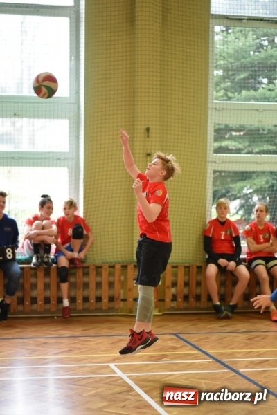 Zdjęcie w galerii na portalu naszraciborz.pl: Mistrzostwa Raciborza w dwójkach siatkarskich chłopców w SP18 wiadomości z regionu